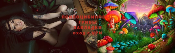 экстази Богданович