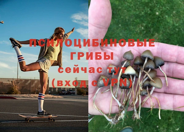 экстази Богданович