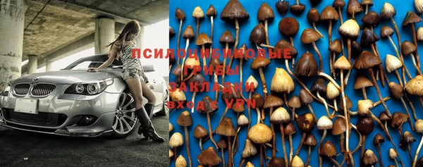 экстази Богданович
