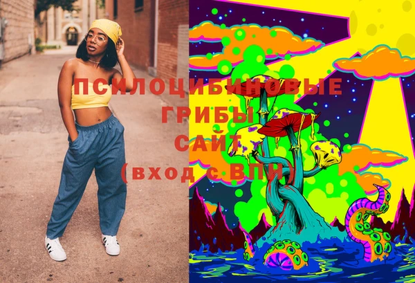 стафф Богородск