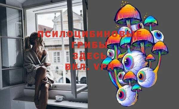 стафф Богородск
